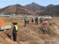 장흥군, 용산면 남상천 벚나무 가로수길 정비
