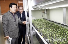 보성군, 우량 씨감자 생산·공급체계 개선 나선다