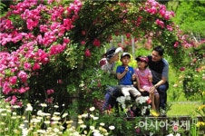 담양 죽화경, 전남 2호 민간정원 등록