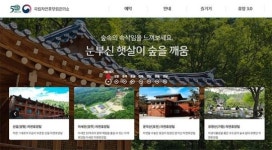 ‘국립자연휴양림’ 숙박시설, 예약개시…각 지역별 휴양림 위치 살펴보니