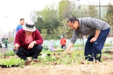 성동무지개텃밭 개장