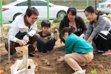 [포토]성동무지개텃밭 도시 농부들