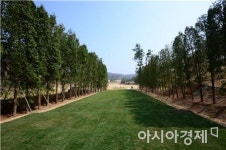 파주CC의 대변신 친환경코스로 ing