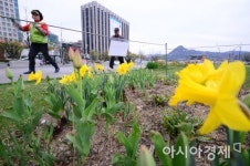 [포토]봄향기 가득한 광장