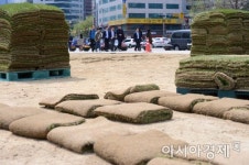 [포토]광장을 걷고 싶다