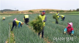 전남농협, 전국동시 영농지원 발대식 개최