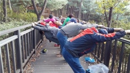 호암산 치유의 숲 가면 스트레스가 싹~