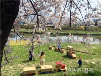 곡성 기차당 뚝방마켓 개최