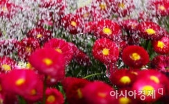 [포토]싱그러운 봄