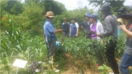 강동구, 도시농부 전문가 양성