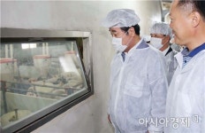 이낙연 전남도지사, 신안 씨돼지 품종 개량 현장 살펴