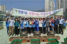 정릉1동주민센터 옥상에 싹튼 푸른 생명의 기운