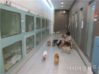 [반려동물 1000만 시대④]블루오션으로 뜬 애견카페 창업