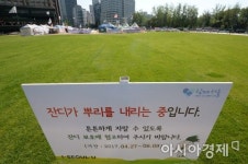 [포토]그리운 잔디 광장