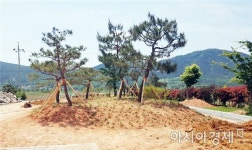 정남진 노인요양원, 복지시설 나눔숲 조성 사업 막바지