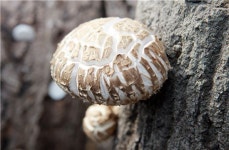 장흥관광 이끌 9경·9미·9품’ 최종 선정