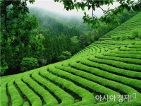이용부 보성군수,“보배로운 천년의 땅·미래보성 구현”