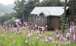 야생화 가득한 지리산숲속수목가옥으로 오세요