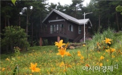 야생화 가득한 지리산숲속수목가옥으로 오세요