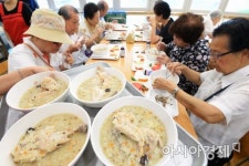 [포토]복날에는 역시 삼계탕