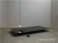 ‘그것 자체, 자연을 조각하다’ 심문섭 회고전