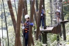 보성군 제암산자연휴양림, 여름 휴가철 피서지 각광