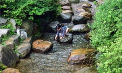 [여행만리]오싹 평창…비밀계곡에서 여름을 잊었다