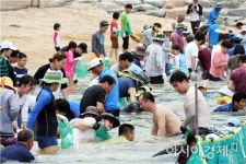장어도 잡고~피서도 즐기고  함평 돌머리해수욕장 인기