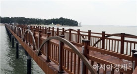장어도 잡고~피서도 즐기고  함평 돌머리해수욕장 인기