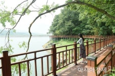 경관 뛰어난 국민관광지 ‘장성호 수변길’  명물 됐다
