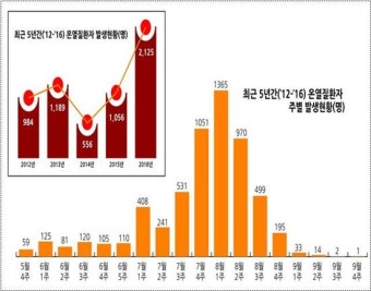 ‘폭염주의보’…충남, 온열질환자 8월 1~2주 집중·예방 당부