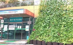 강서구내 청사 4곳 친환경 녹색커튼 조성
