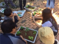 중랑구,  도시농업 그린공동체 만들기 운영