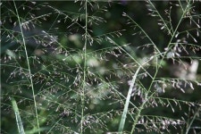 [조문환의 지리산별곡 14]운봉에 울려 퍼지는 ‘암행어사 출두야’