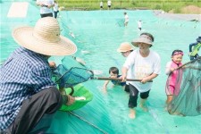 자연이 품은 마을, 건강한 농산물과 다양한 체험이 함께하는 질울고래실마을 방문기