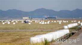 보성군, 축산농가에 조사료 곤포구입비 6억원 지원