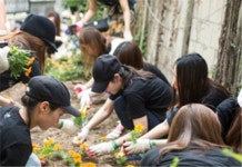 용산구, 주민참여 마을가드닝 사업 추진