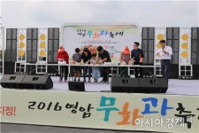 신비의 과일, 영암무화과 맛 보러 오세요