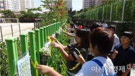 염색에서 캠핑까지 광산구 주민 공동체 활동 ‘다채’