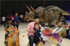 보성비봉공룡공원, 추석연휴 어린들 최고 놀이터 각광