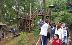 보성군 제암산자연휴양림, 추석연휴 최적의 여행지로 각광