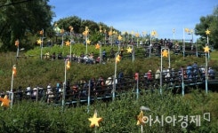 [포토]은빛 억새 보러 가는 길