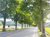 보성군, 아름다운‘보성숲세상’만들기 총력