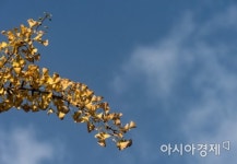 ‘상강’의 뜻과 풍습은?···서리 내리는 날, 조선 시대에는 군 행사 진행