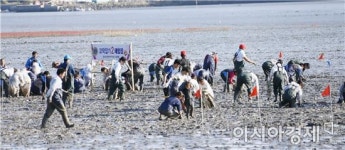 가을 남도의 대표축제,‘제16회 벌교꼬막축제’개최
