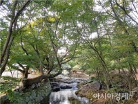 완도 청해진로 경관숲 최우수