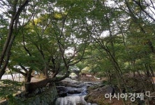 순천 용오름마을 숲, 전남 마을숲 콘테스트 최우수상