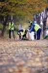 [포토]광주시 북구, 가로수 낙엽수거 재활용