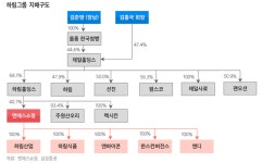 NS쇼핑의 쓴 잔…中서 발 빼고, 新사업은 '애물단지' 전락