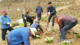 영광군, 2018 숲속의 전남 만들기 공모사업 3개소 선정